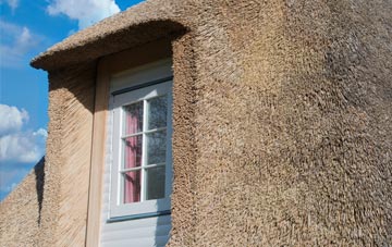 Skilgate thatch roof disadvantages